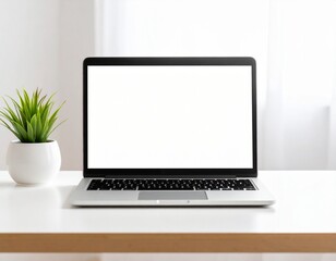 A silver laptop with a blank white screen sits on a white desk, next to a small potted plant.