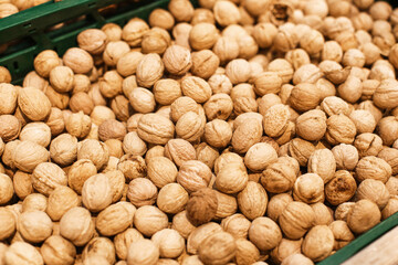 Whole walnuts in shell. Closeup view of many brown walnuts in green crate. Organic healthy nuts for sale at market stall. Natural snack and ingredient for cookin or baking and vegetarian diet.