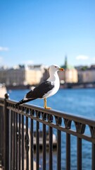 Obraz premium Seagull on a railing by the water