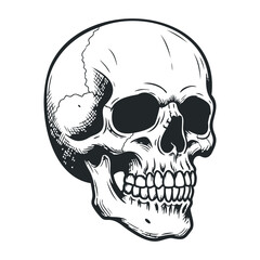 Skull artwork art studio illustration creative environment close-up death concept. Vector illustration