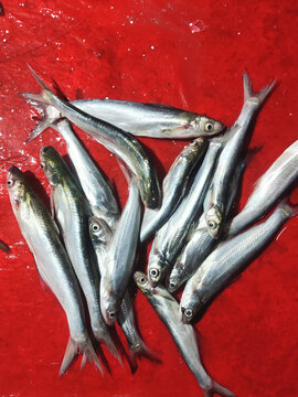 Bentong selar fish sold at the Gandapura fish market, Bireuen, Aceh.