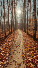 Autumn Forest Path Covered in Fallen Orange Leaves with Sunbeams woods