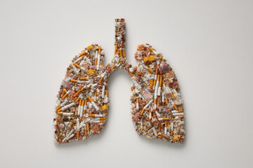 human Lungs formed by cigarettes, white background