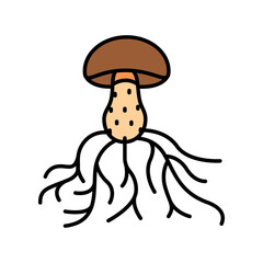 mycelium black line icon for digital and print projects.