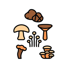 mushrooms variety color line icon for digital and print projects.