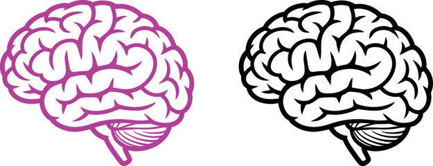 Two brain illustrations one in purple and the other in black and white on a white background side view