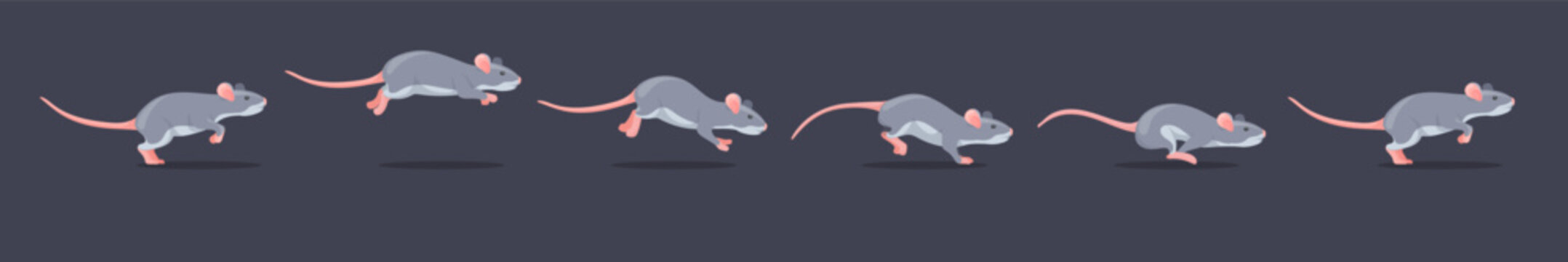 Mouse animation. Cartoon rat run sequence cycle, animated mice motion walk rodent running jump poses sprite sheet for 2d game mouses race gaming character, neat vector illustration