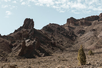 Teide Landscapes Collection