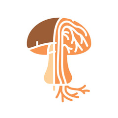 Hyphae mushroom color flat icon for digital and print projects.