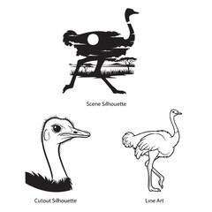 A Collection of Ostrich Illustrations: Savanna Scene, Feather Detail, and Bold Line Art