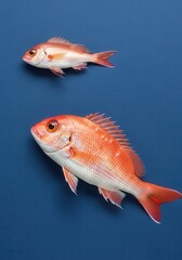 Vibrant underwater display showcasing two reddish-orange fish against blue