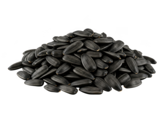 Pile of black sunflower seeds isolated on transparent background