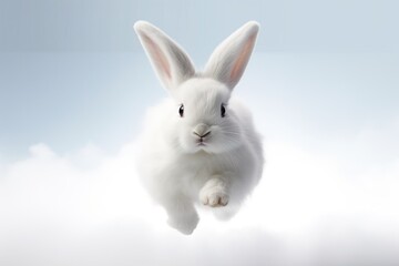 Obraz premium A fluffy white bunny hopping with its soft fur flying against a clean white backdrop
