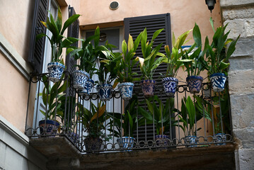 Plantes vertes accrochées sur le balcon d'une maison de Bergame