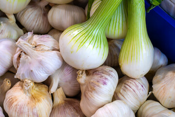 White garlic with purple skin and young spring onions on a market stall