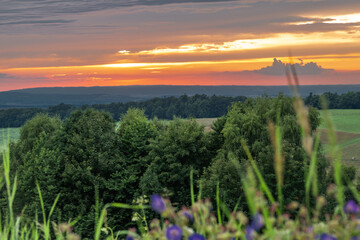 Evening summer view for Beskydy mountains in sunset color flower meadow