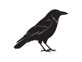A silhouette of a black bird with a prominent beak perches on a branch, its wing feathers detailed against a white background