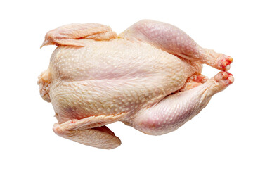 Raw whole chicken for cooking isolated on transparent background