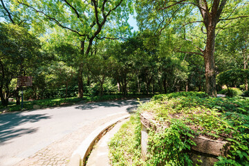 Obraz premium path in the Chinese garden in Nanjing