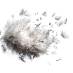 Abstract textured white splatter