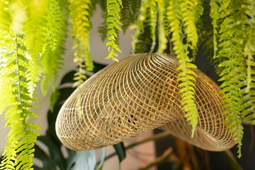 A woven wicker lamp is suspended under vibrant green ferns, creating a warm atmosphere in a...