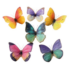 Colorful butterfly design