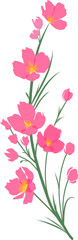 Simple Pink Wildflower Illustration