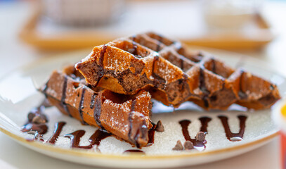 Chocolate Waffles with Chocolate Sauce on a Plate