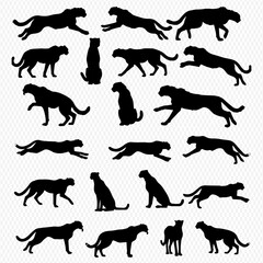 A graphic collection of black cheetah silhouettes in multiple poses including running, sitting, and standing.