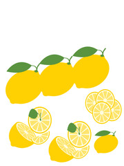  Zesty World of Lemons: A Look at Their Vibrant Flavour, Culinary Uses, Health Benefits, and Surprising Household Applications in Everyday British Life