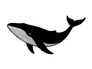Whale