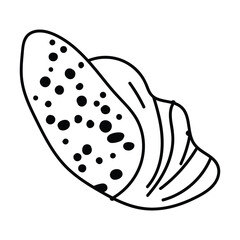 Outline shell drawing. Vector illustration. 