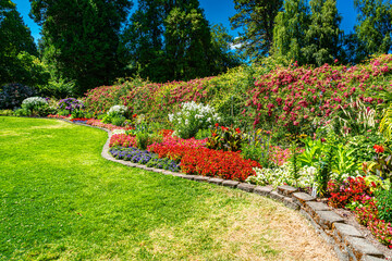 Lush Garden Flowers