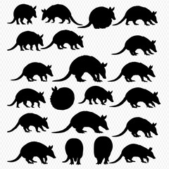 A collection of black armadillo silhouettes in various poses, including standing, walking, and curled into a defensive ball.