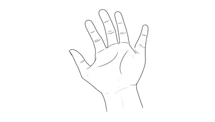 Hand illustration