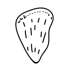 Abstract sea shell drawing with fine, modern lines.