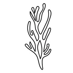 Fototapeta premium Hand-drawn sea plant outline ideal for coastal branding and decor.