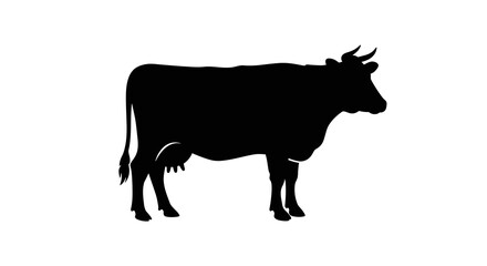 Black silhouette of a dairy cow standing