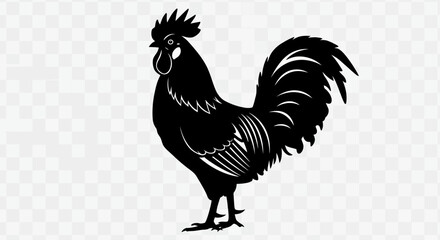 Elegant black silhouette of a proud rooster