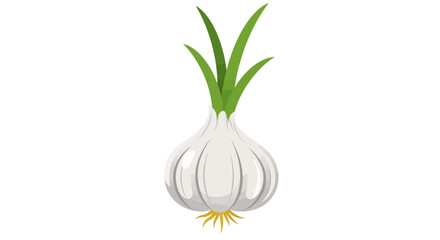 A single bulb of garlic with green shoots