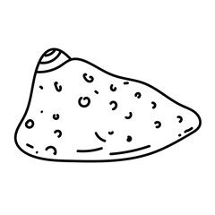 Minimal line art seashell in elegant contour style.