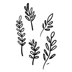 Obraz premium Minimal vector botanical element. Floral contour drawings in a soft, romantic style.