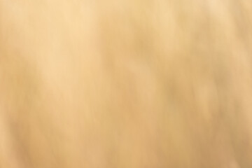 Blurred brown background,Abstract softness brown color with special effect background 