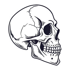 Naklejka premium vector illustration of a skull 