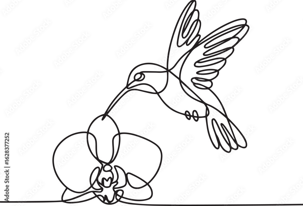 Poster continuous one line drawing of a graceful hummingbird hovering over an orchid flower in a minimalist