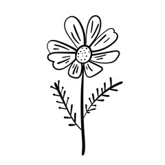 Sketched floral element. Vector illustration. 