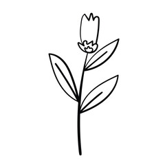 Obraz premium Sketched botanical element. Simple flower. Vector drawing. 