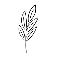 Simple leaf contour vector drawing. 