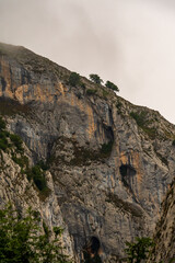 Paisaje en Bulnes, Picos de Europa.