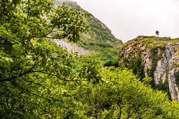 Paisaje en Bulnes, Picos de Europa.